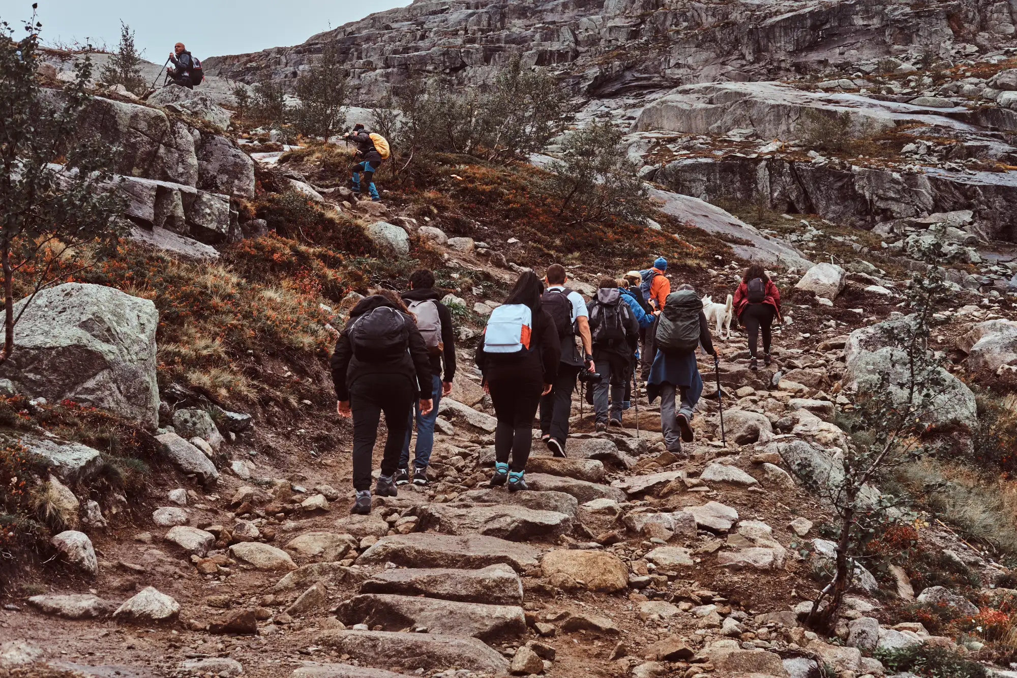 MauzoSync use cases — safari and tour operators