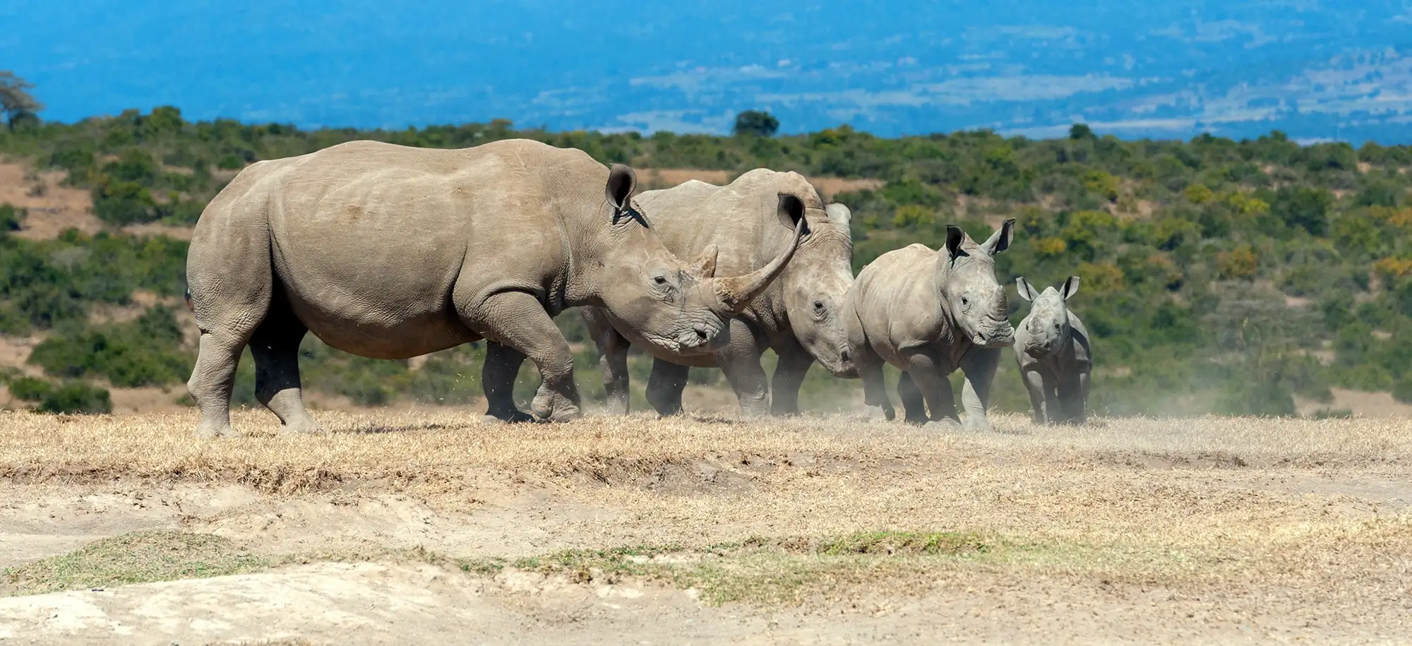 MauzoSync security for tour operators